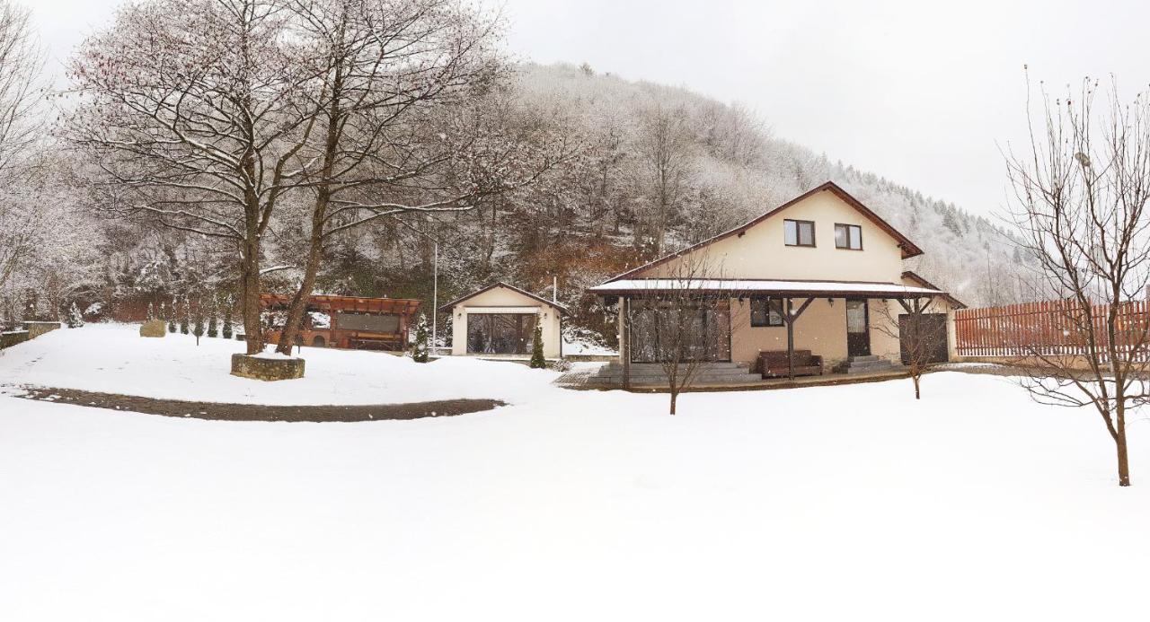 Pensiunea Tudor Breaza Exteriör bild