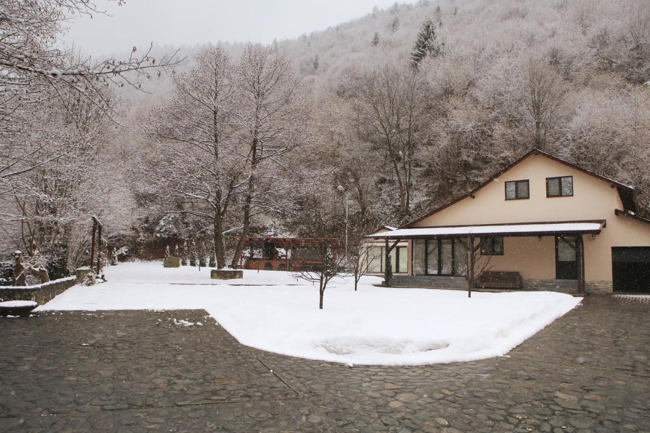 Pensiunea Tudor Breaza Exteriör bild