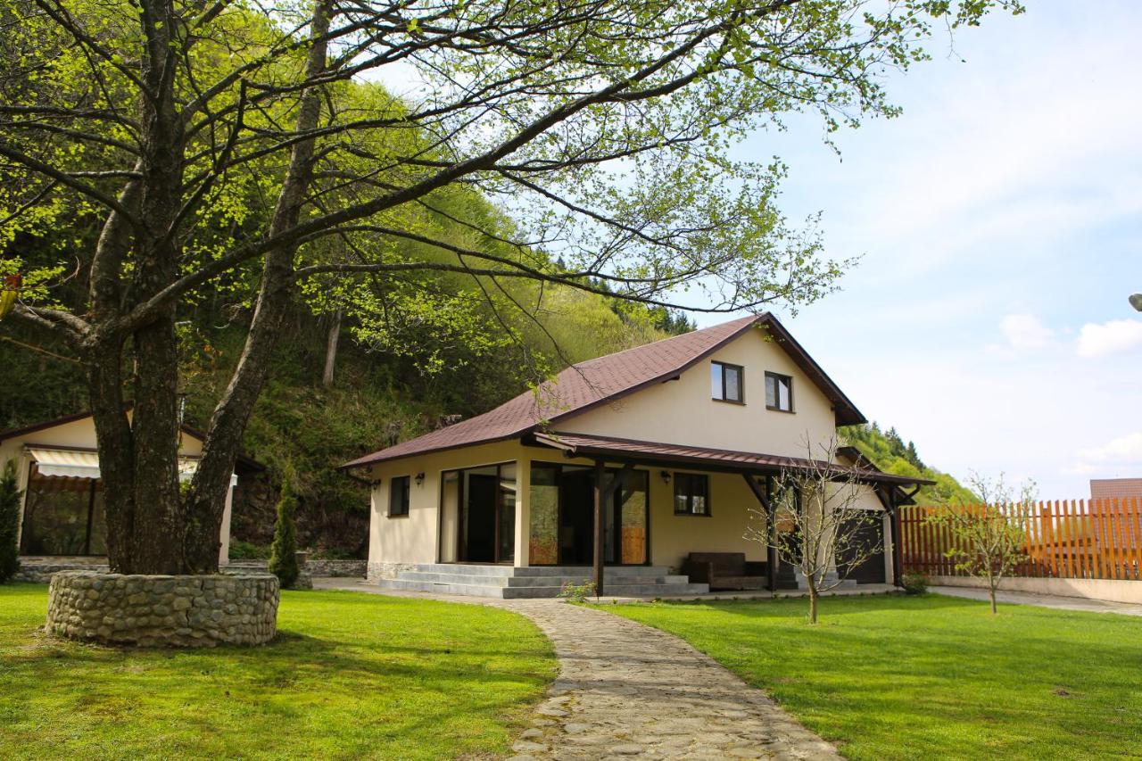 Pensiunea Tudor Breaza Exteriör bild