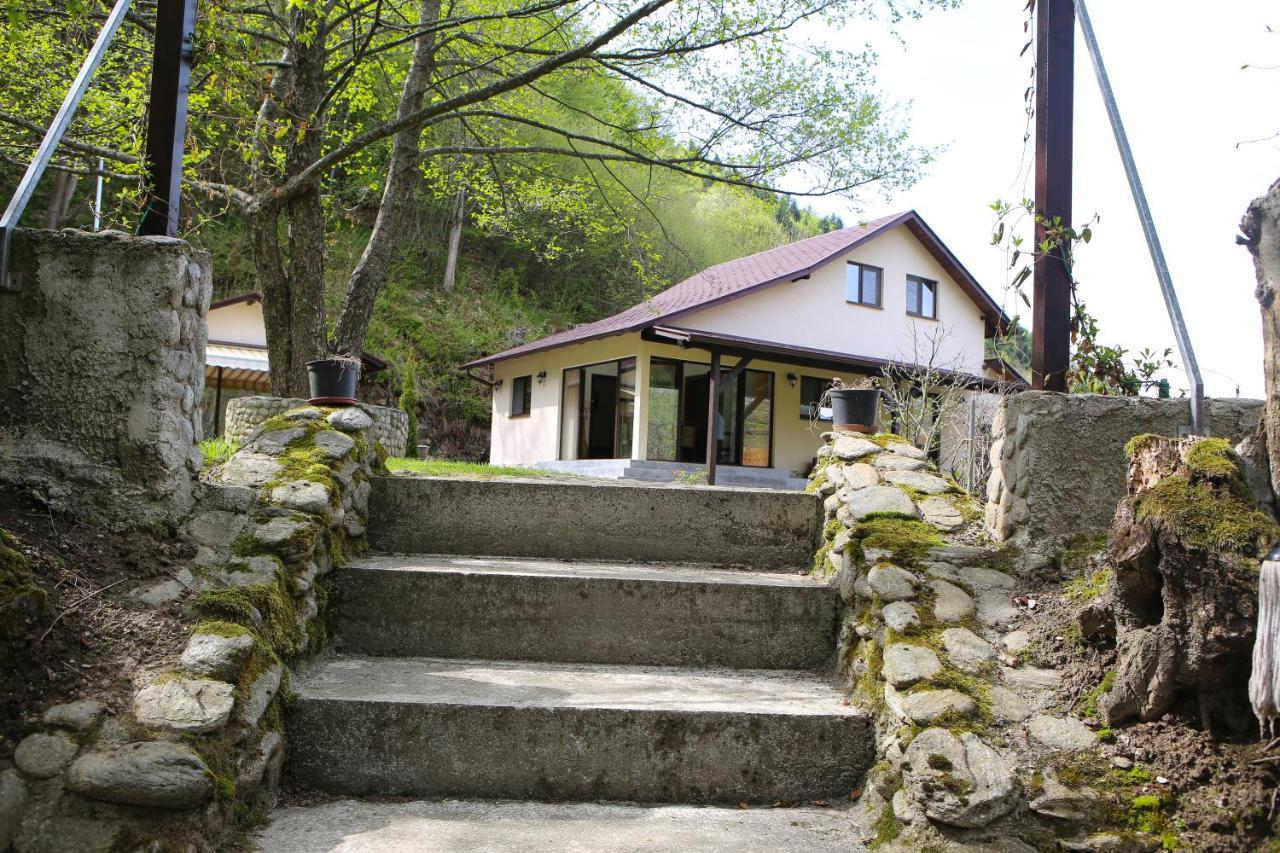 Pensiunea Tudor Breaza Exteriör bild